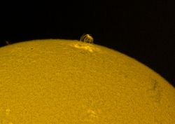 Sonne H-Alpha mit einem SolarMax 60 von Coronado